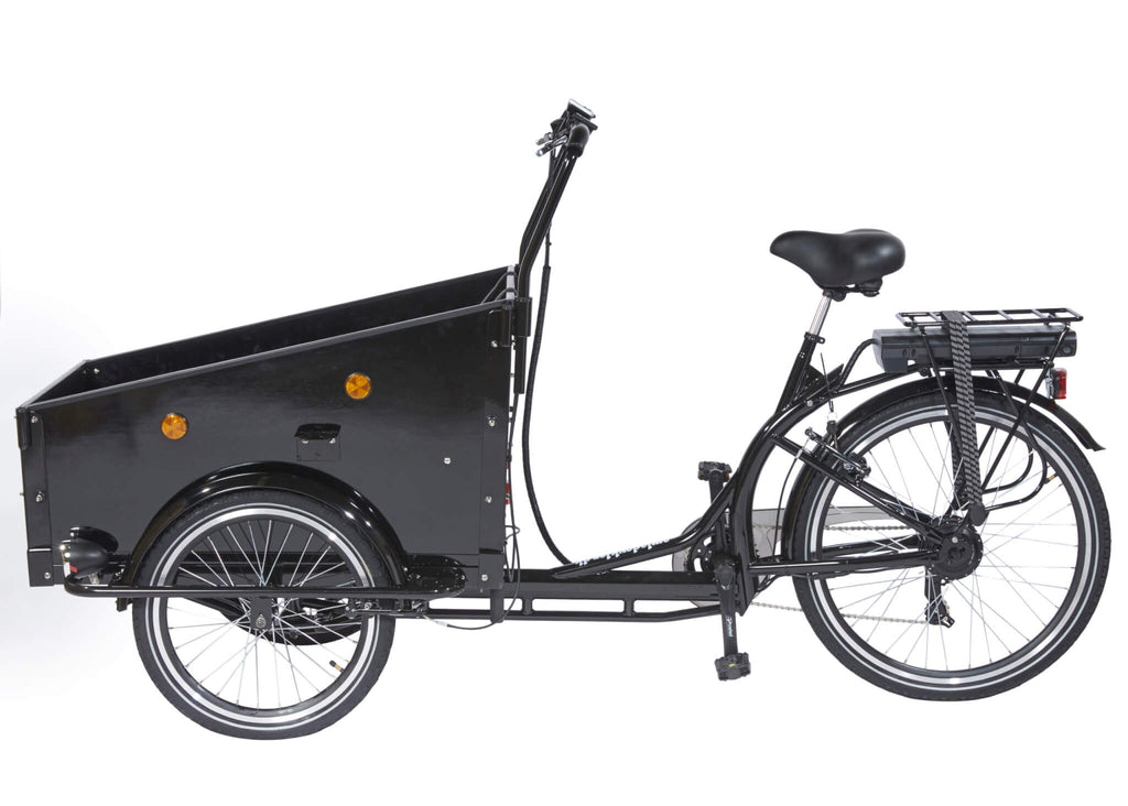 Amcargobikes Special Design Cargo Electric Tricycle – Lowrider - HITRONIC